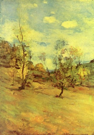 Landscape view in Posada
